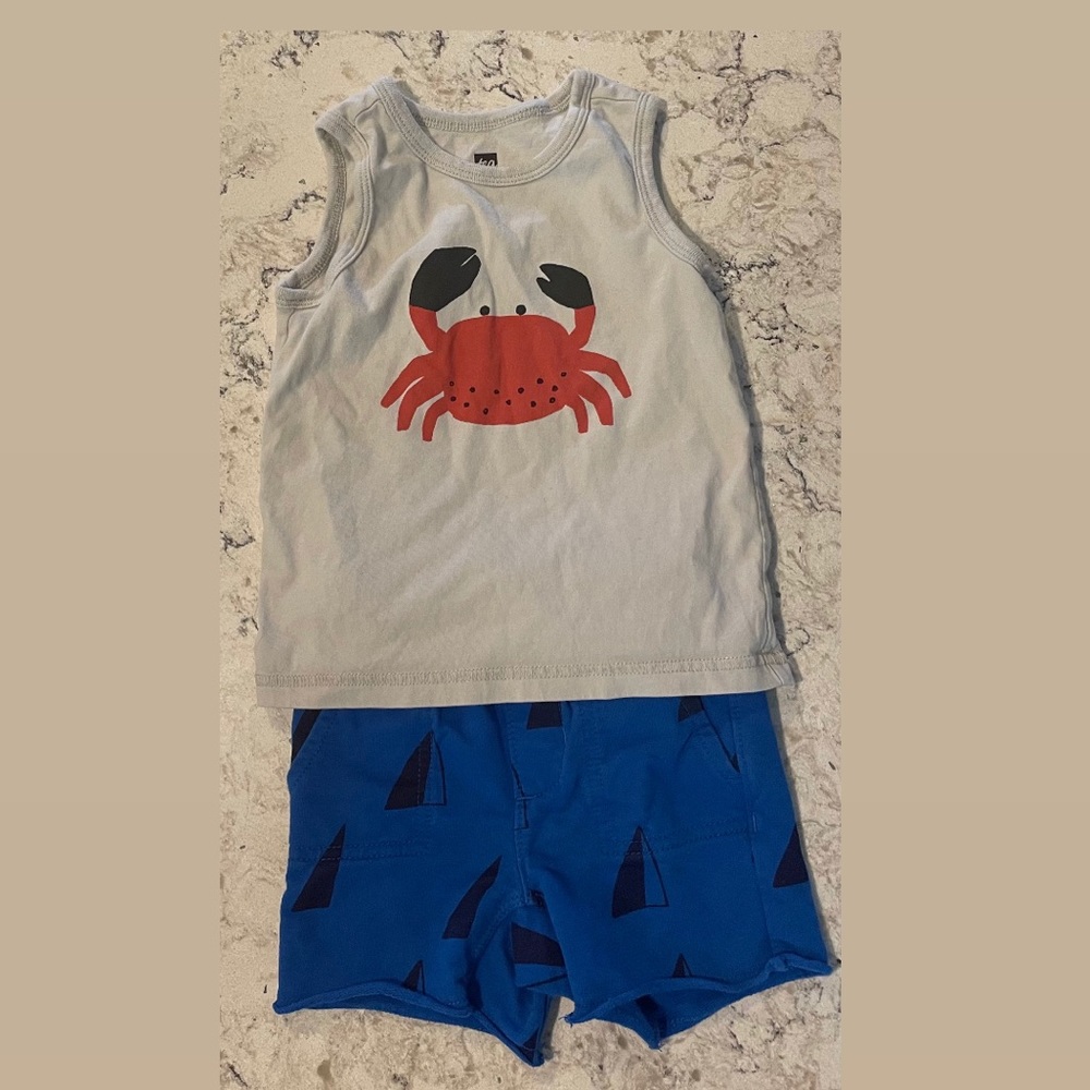 Tea Collection Boys Set: shorts: size 12-18 months. Shirt size: 18-24 months